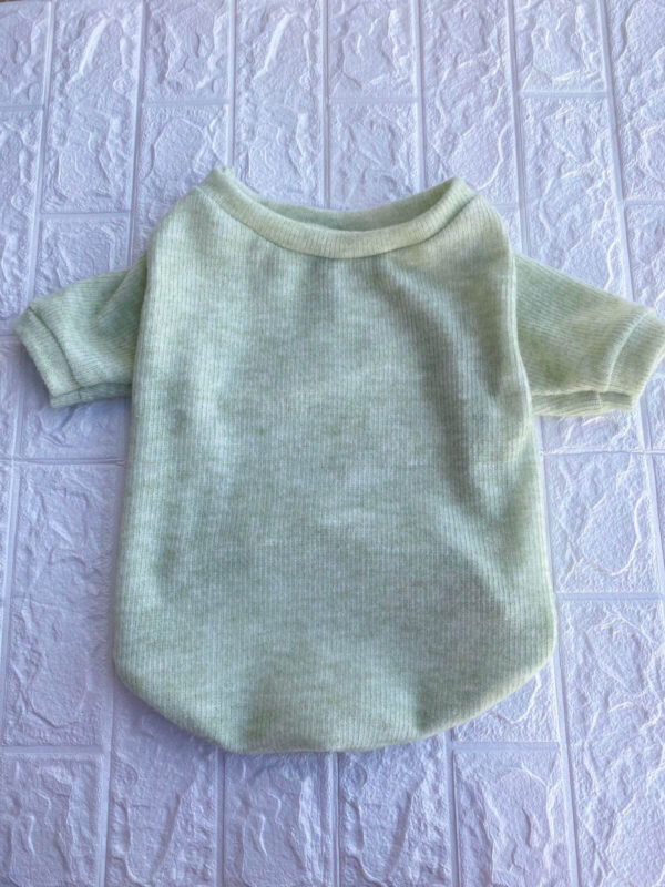 Prenda Verde para Mascotas